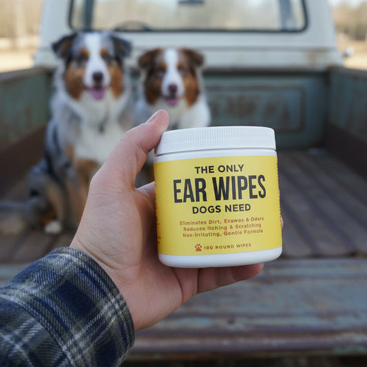 Hand holding a container of 'The Only Ear Wipes Dogs Need' on a textured surface.