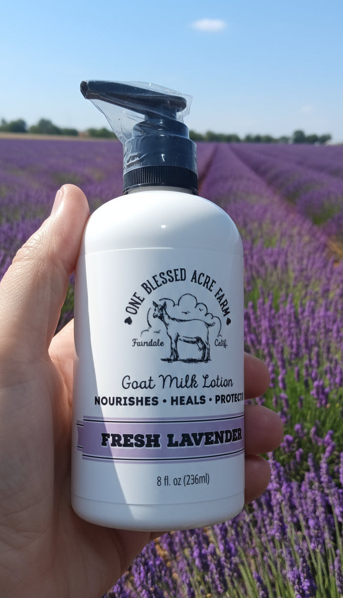 Hand and Body Goat Milk Lotion- Lavender-8oz