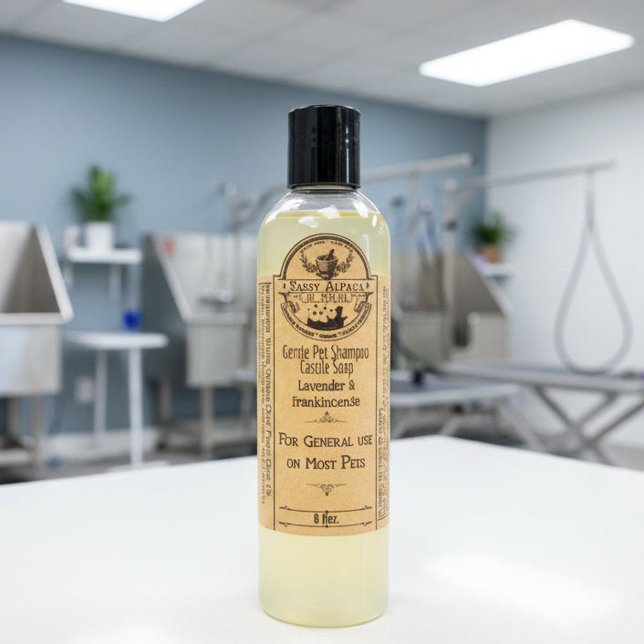 Bottle of pet shampoo on a counter with a veterinary clinic background