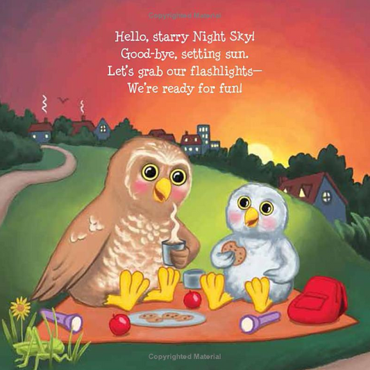 Hello, Night Sky! by Martha Day Zschock