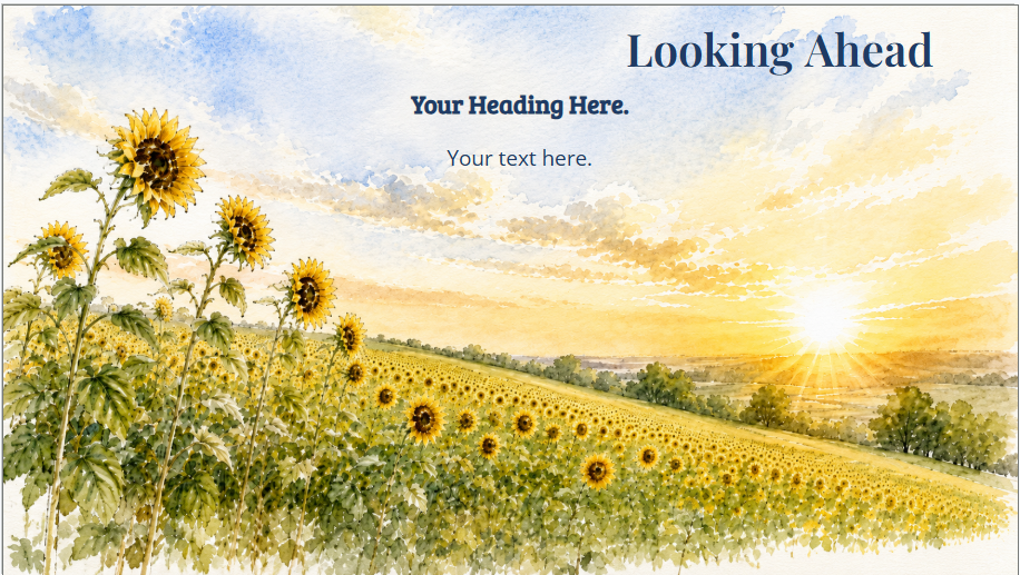 Sunflower Teacher meeting Google Slides Deck