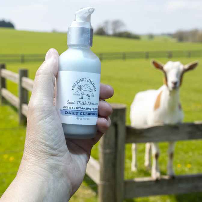 Goat Milk Daily Cleanser/ Face Wash - 4oz