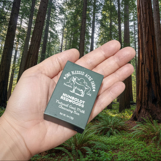 Hand holding a small green box with branding on a carpeted floor.
