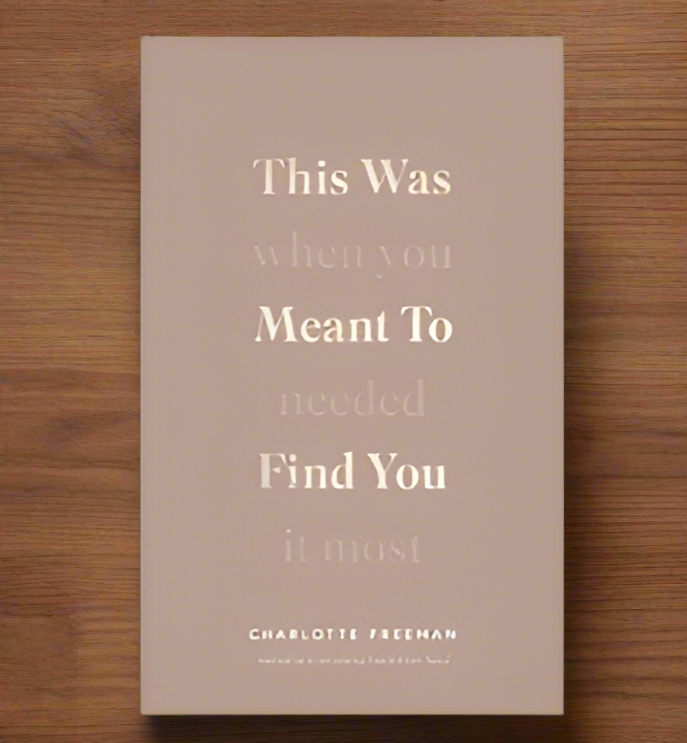 (123) This Was Meant to Find You (When You Needed It Most) by Charlotte Freeman
