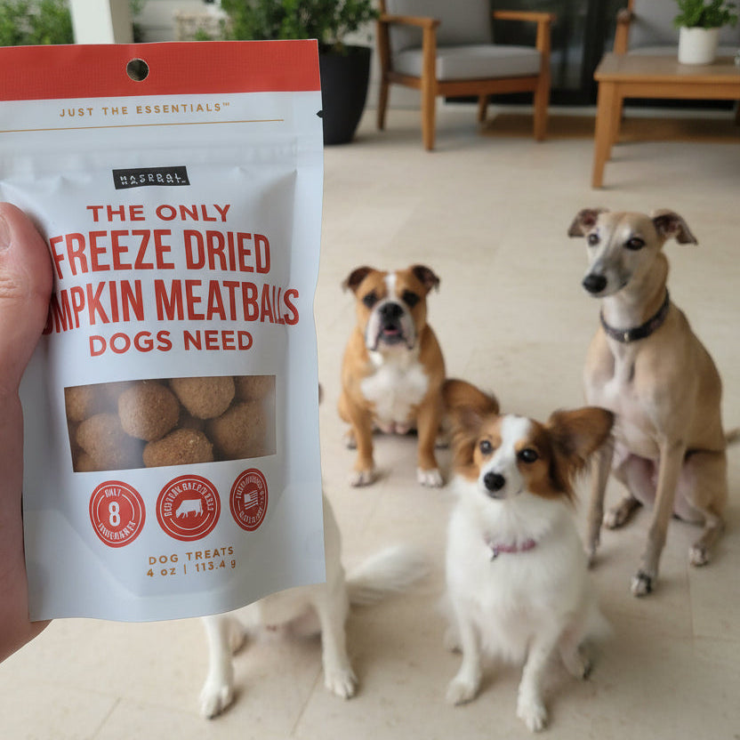 Dogs waiting for treats