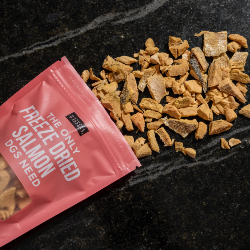 Freeze dried Salmon Treats