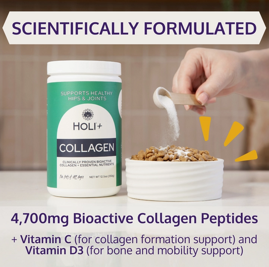DOG HOLI+ Collagen Hip & Joint Support Powder