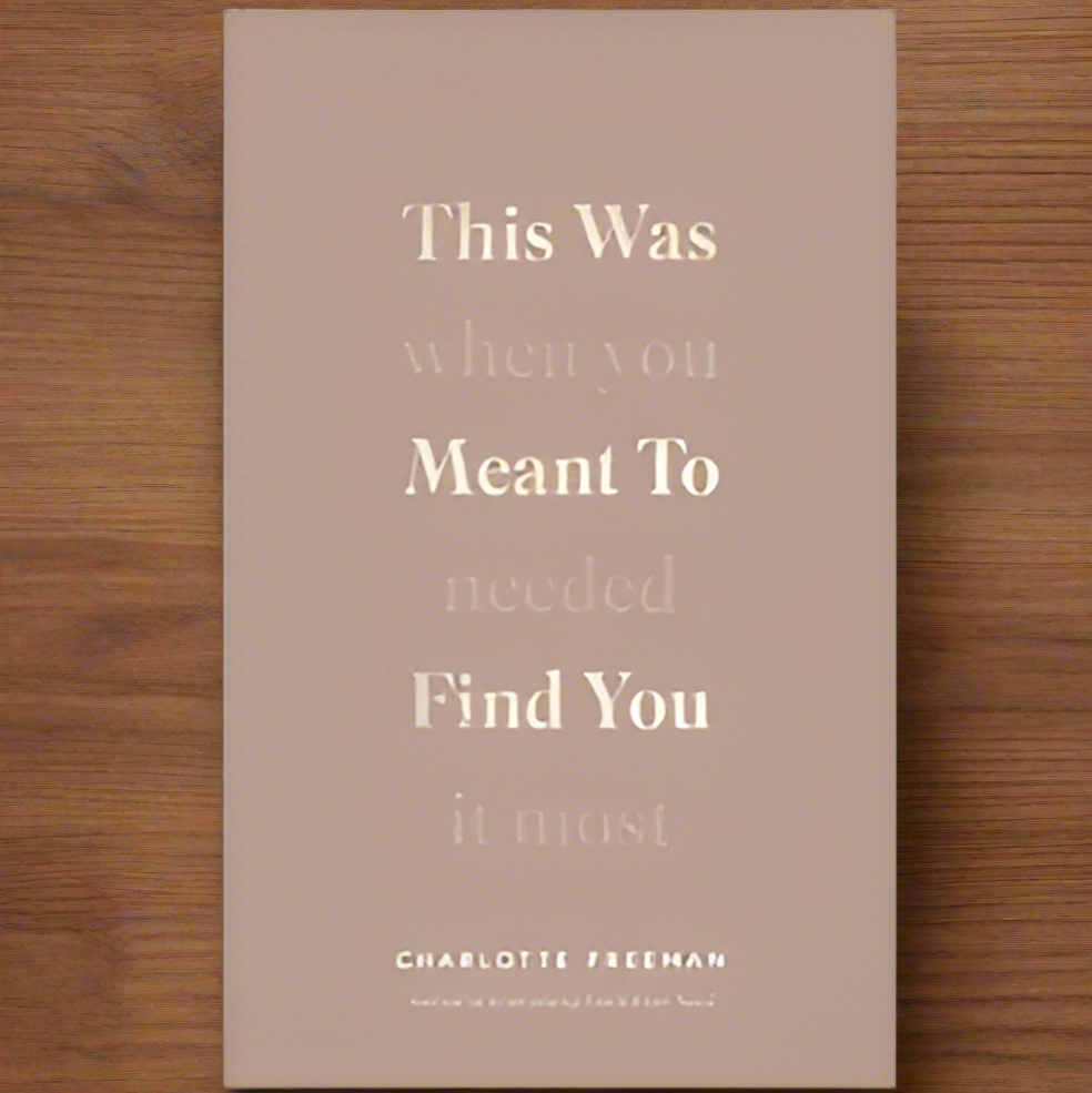 This Was Meant to Find You (When You Needed It Most) by Charlotte Freeman