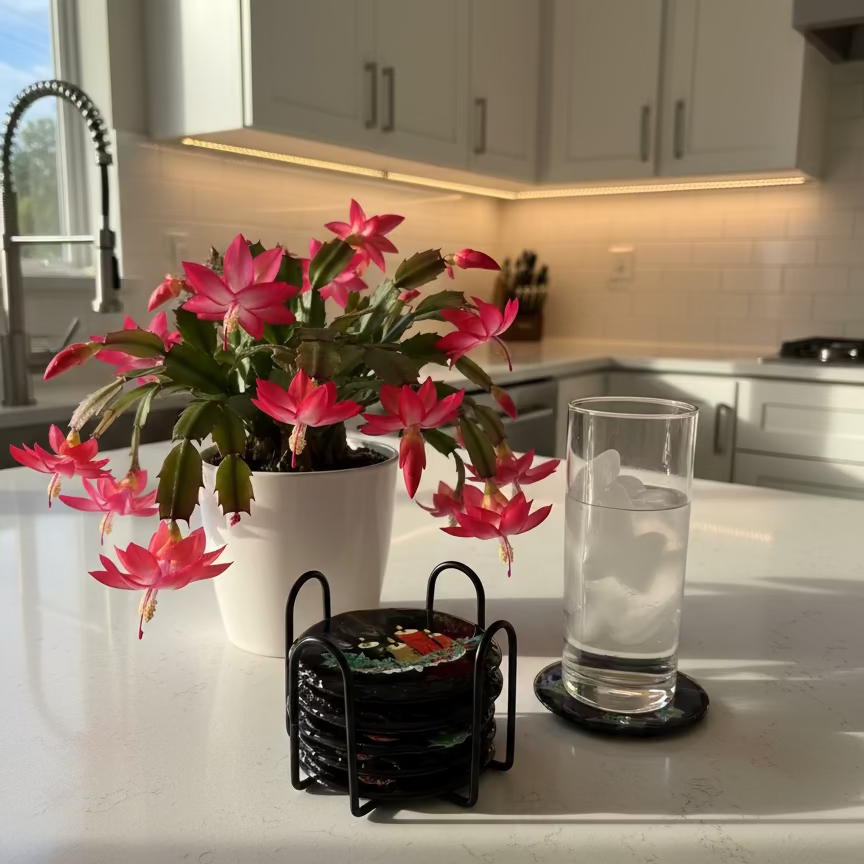 Set of coasters with a decorative design on a black holder next to a glass of water on a stove.