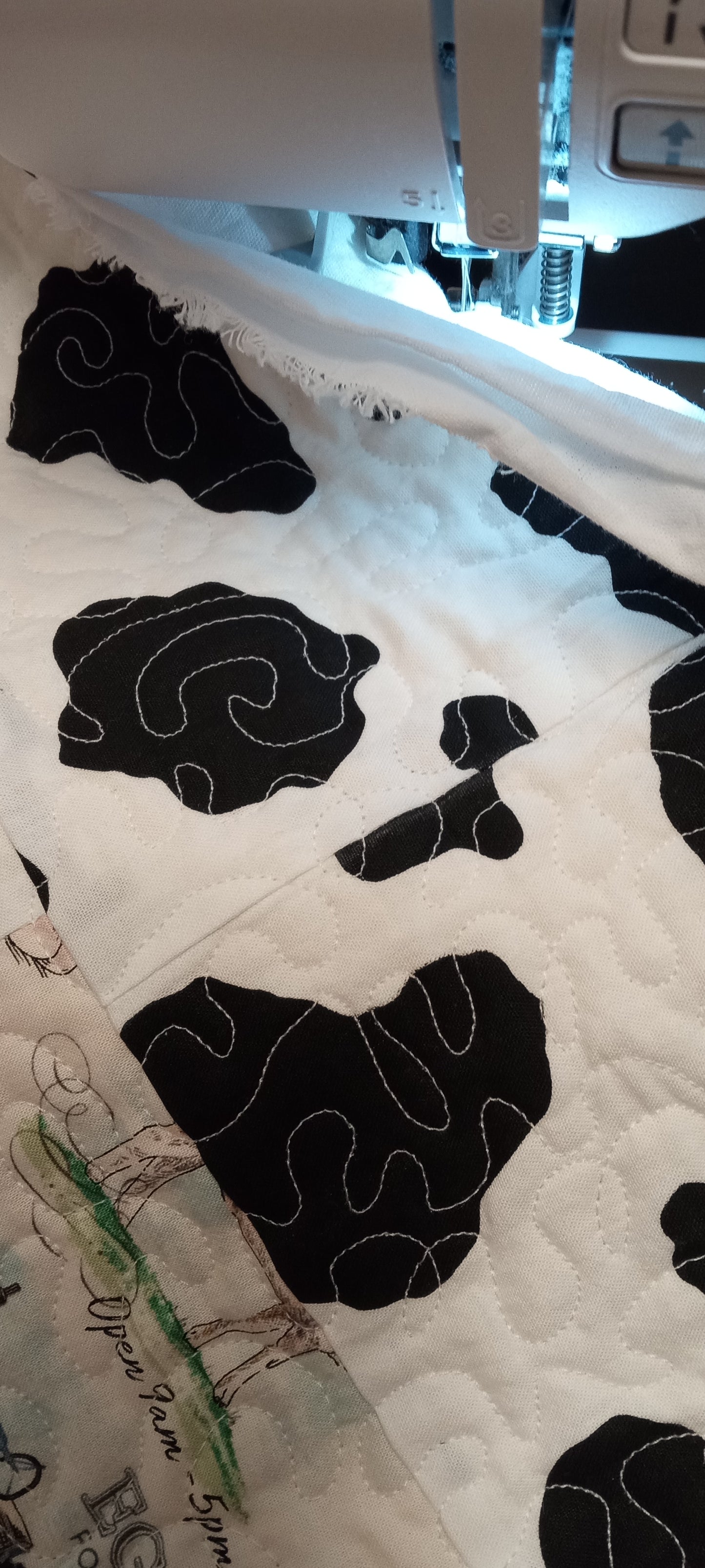 Farm Fun Youth Quilt. DRAWING ON MON. OCT6 - Drawing results video in the description