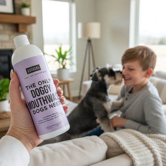 Hand holding a bottle labeled 'The Only Doggy Mouthwash Dogs Need' on grass