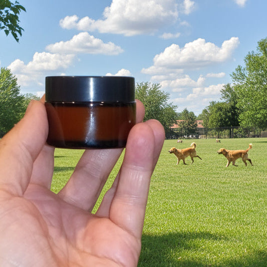 Hand holding a small brown jar with a green field and dogs in the background