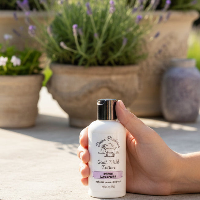 Lavender Goat Milk Hand Lotion (2 oz) Travel Size
