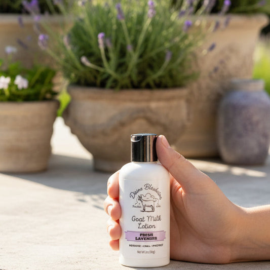 Lavender Goat Milk Hand Lotion (2 oz) Travel Size